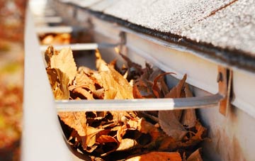 Middle Quarter gutter cleaning companies