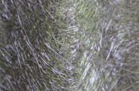 Middle Quarter fibreglass roof work