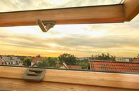 rated Middle Quarter roof window companies